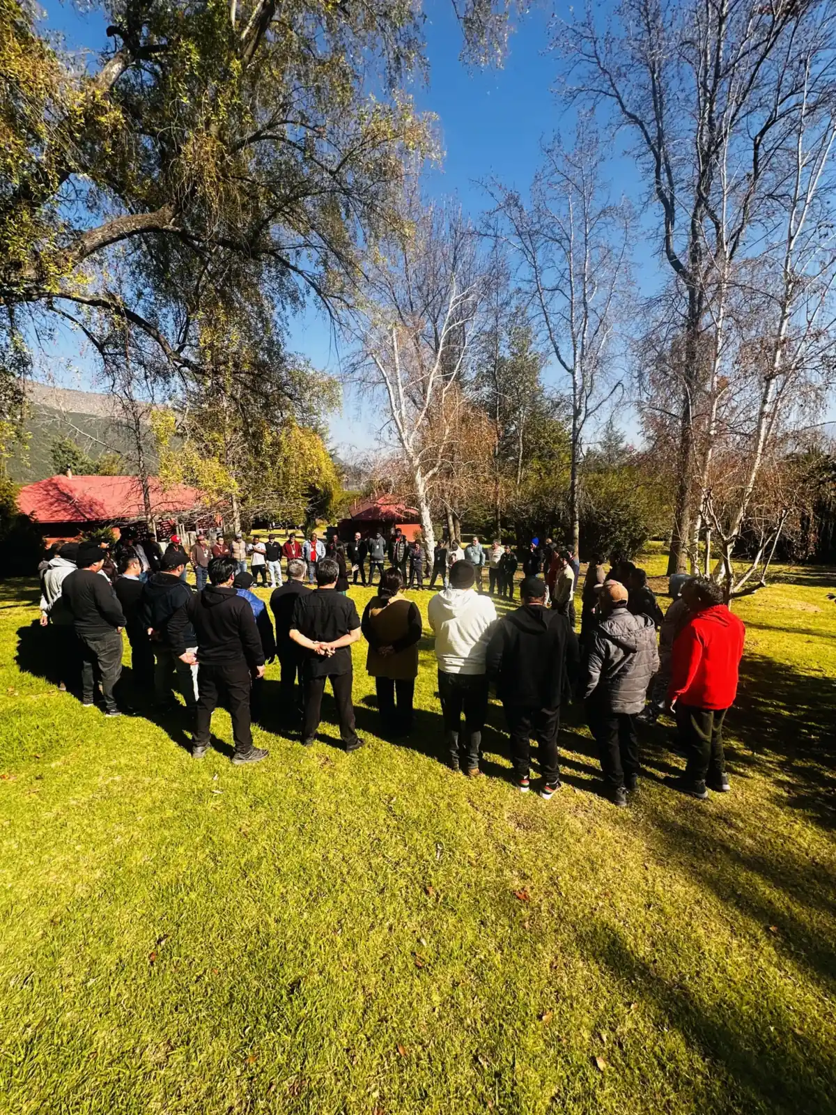 Procesos de acompañamiento con equipos (3)